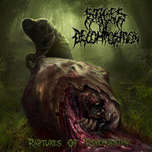 Stages Of Decomposition COVER